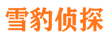 濠江市调查公司